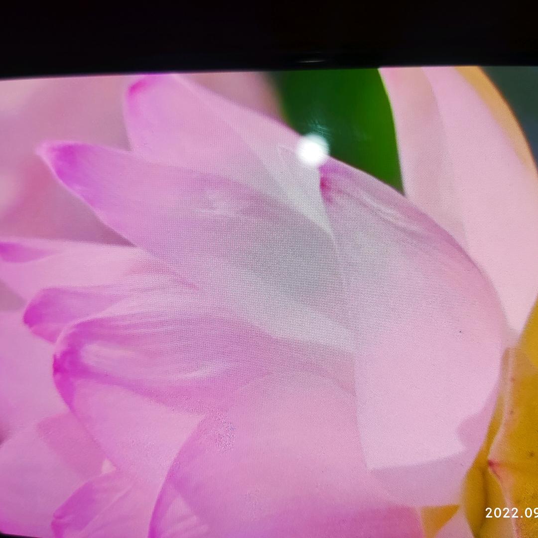 心想事成