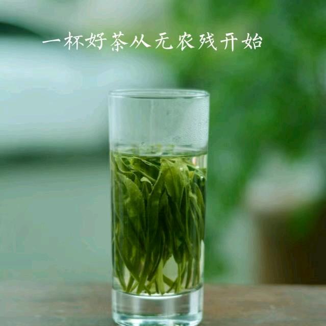 蒲溪茶业企业店