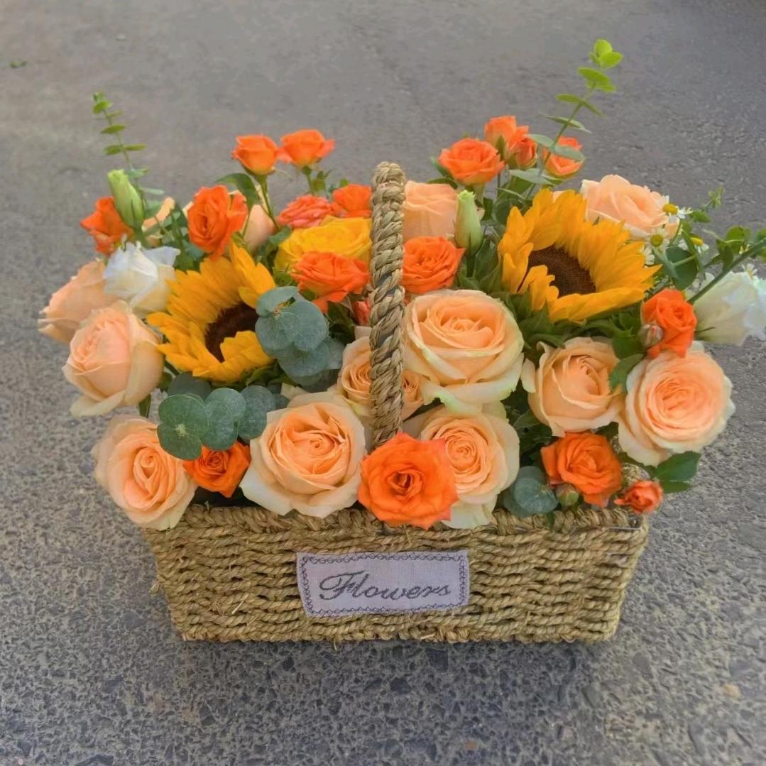 全屋、周、月保洁、收纳整理，出差托管