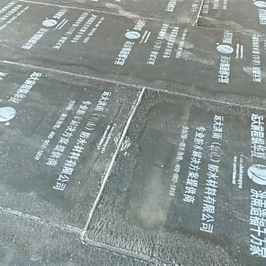 专业做防水工程。