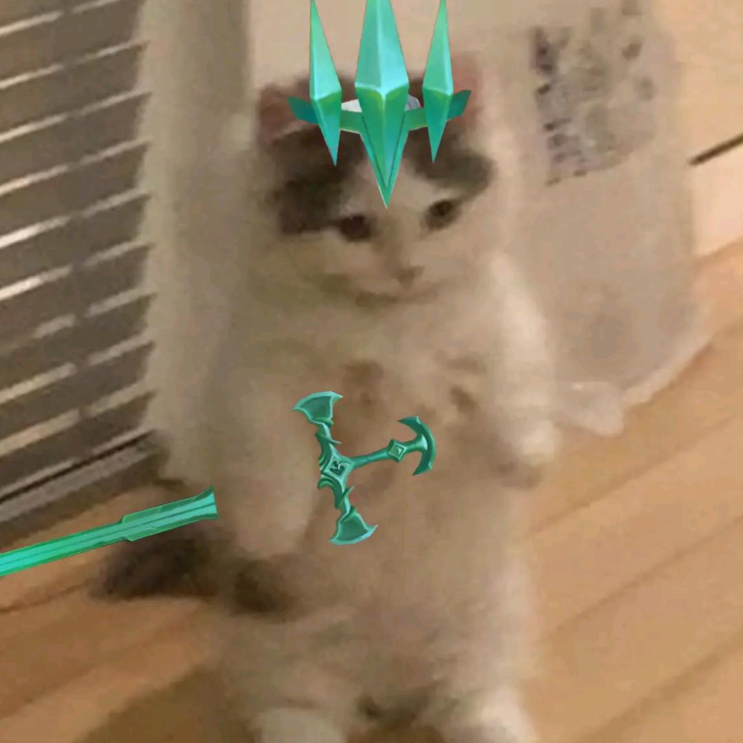 碳烤五香麻辣脆皮小香猪