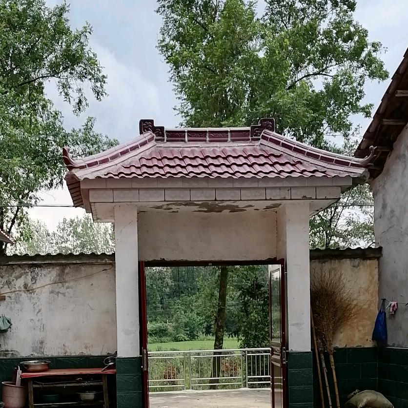 s永远青春