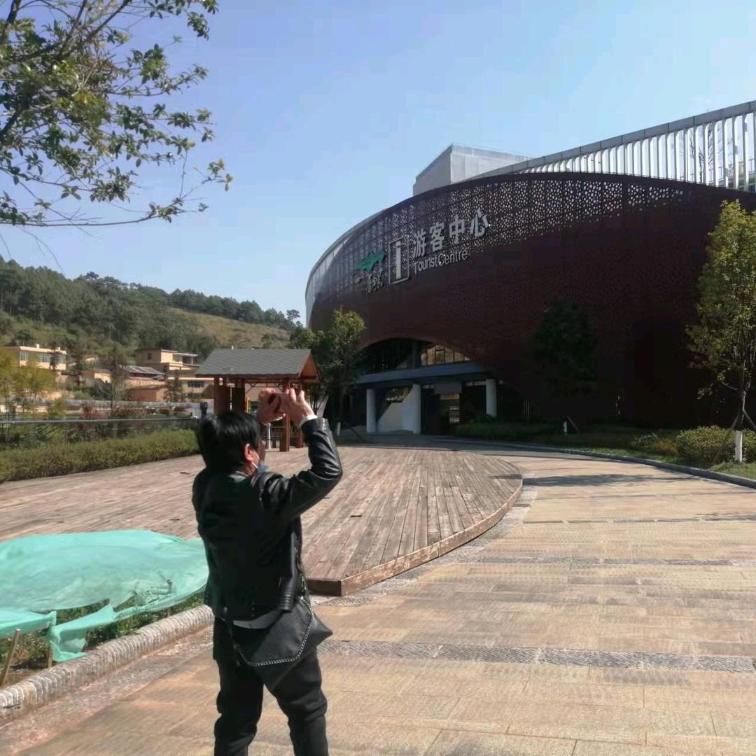 高文翠