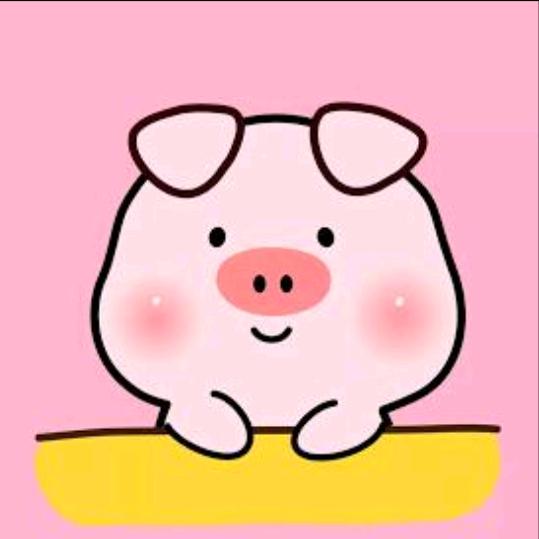 小金豬