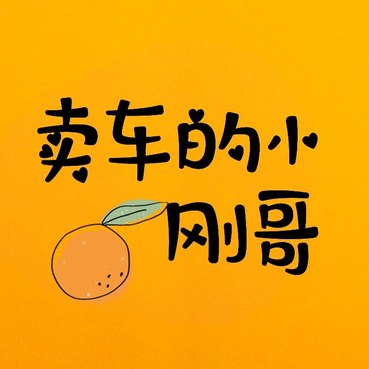 卖车的小刚哥