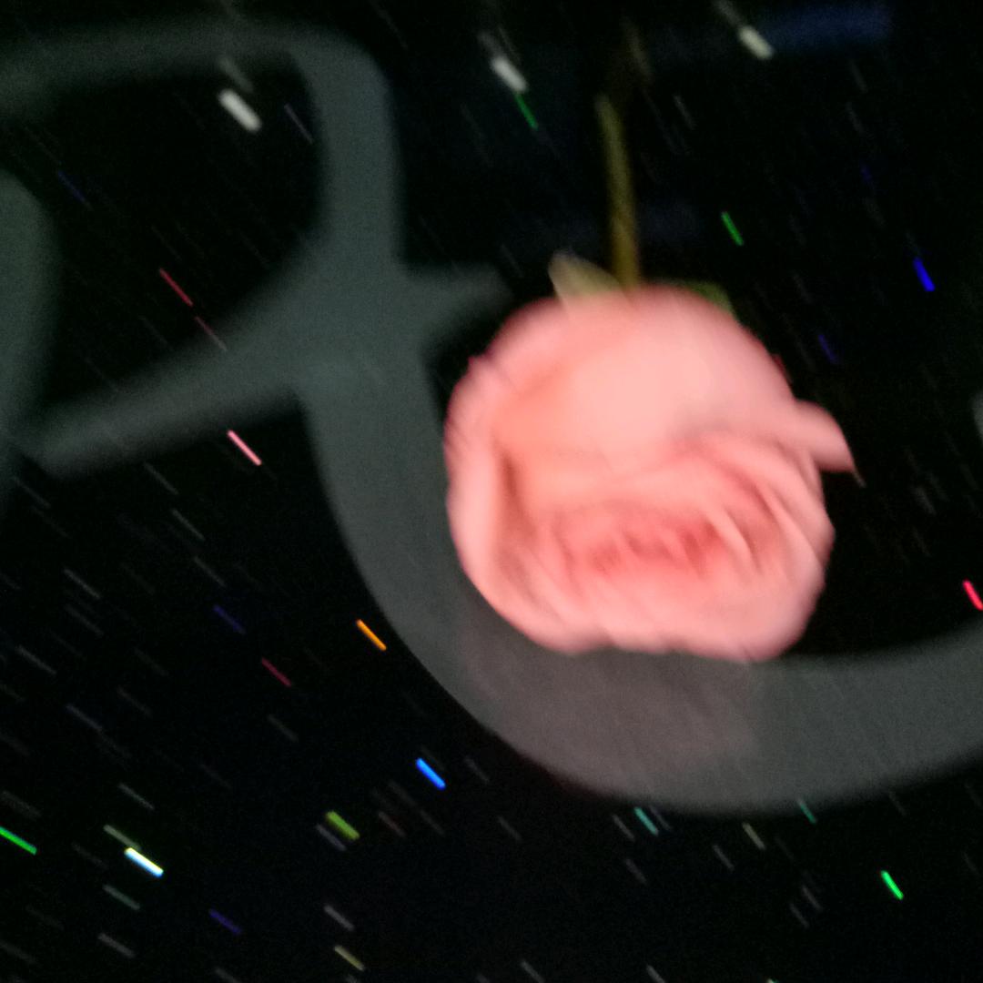 飘逸