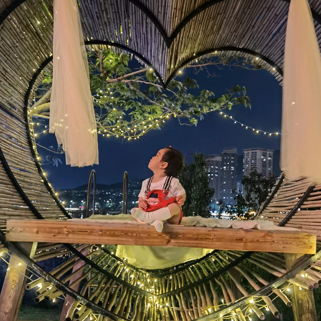 🍒球阿球