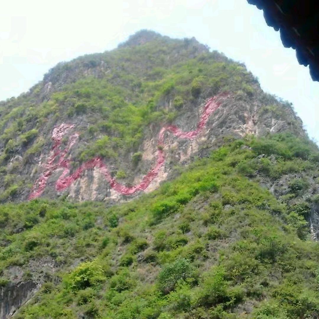 孤独的狼（518）