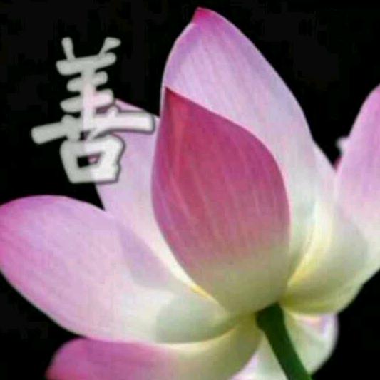 我爱我家❤️❤️
