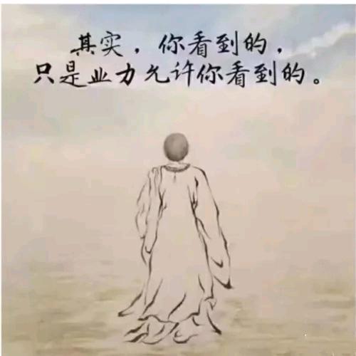 见宝专业daishao二十年