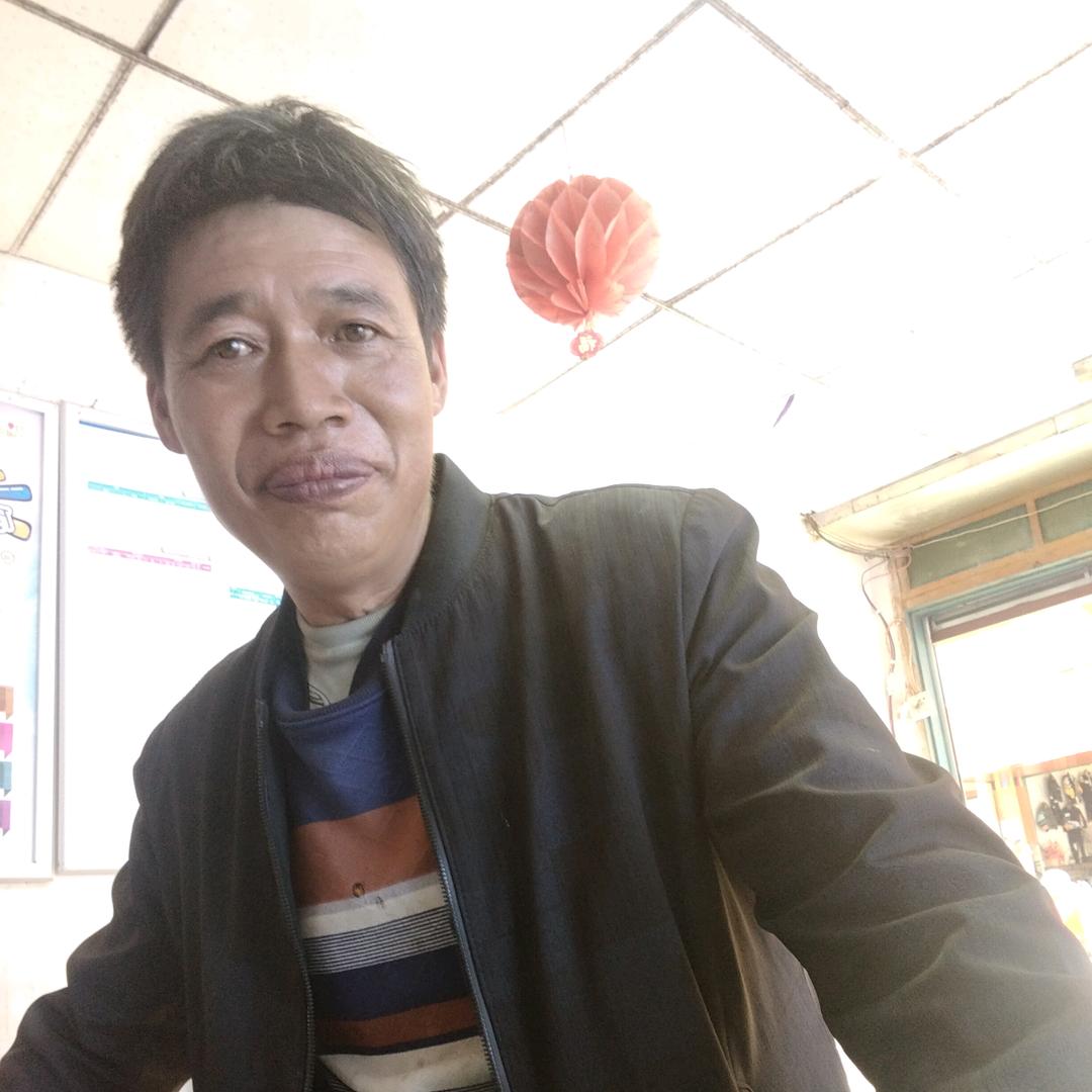 a自由飞翔