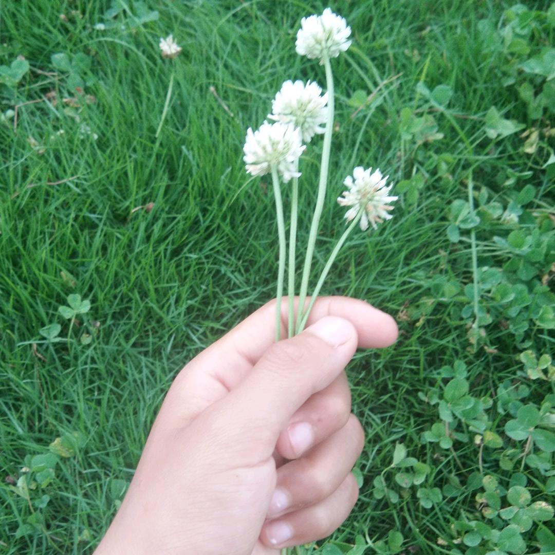 ❄️❄️❄️❄️❄️❄️❄️❄️❄️❄️