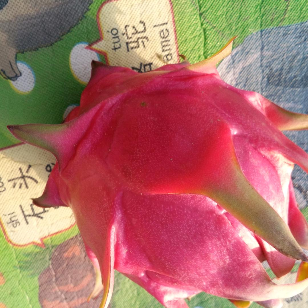 保定市满城区澳涵农场