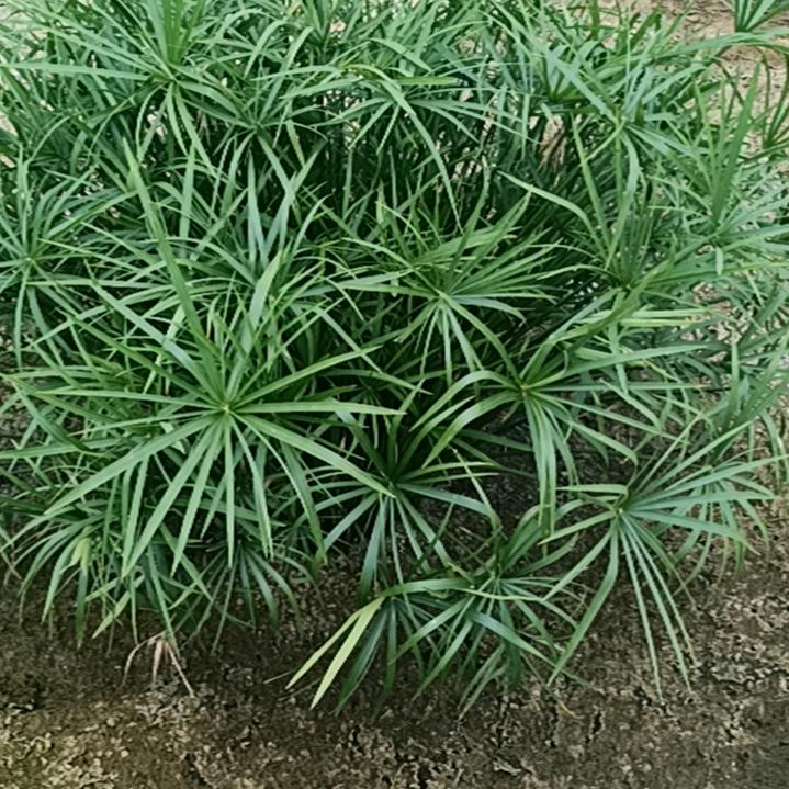 与人为善，天地人和。