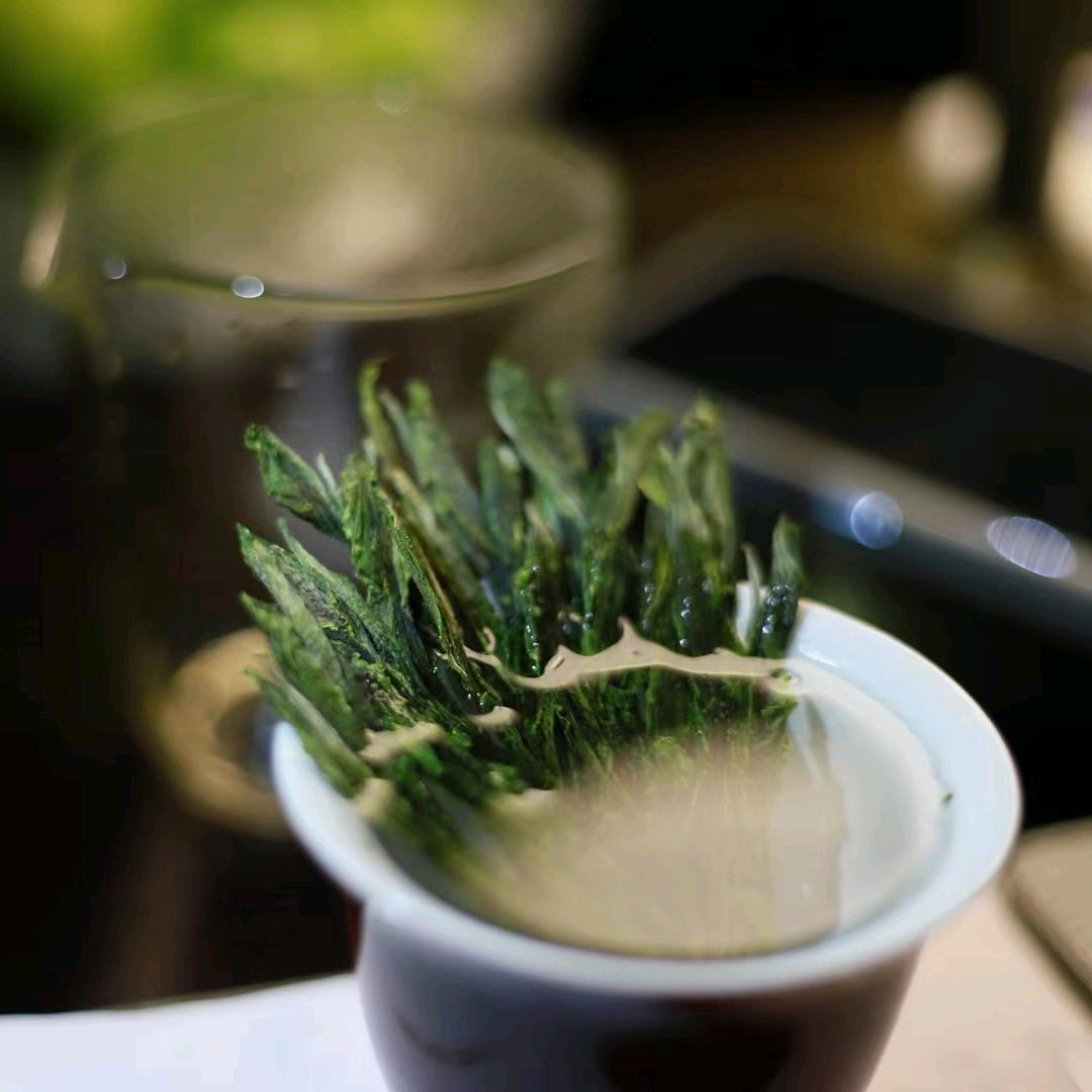 黄山晨猴茶业有限公司