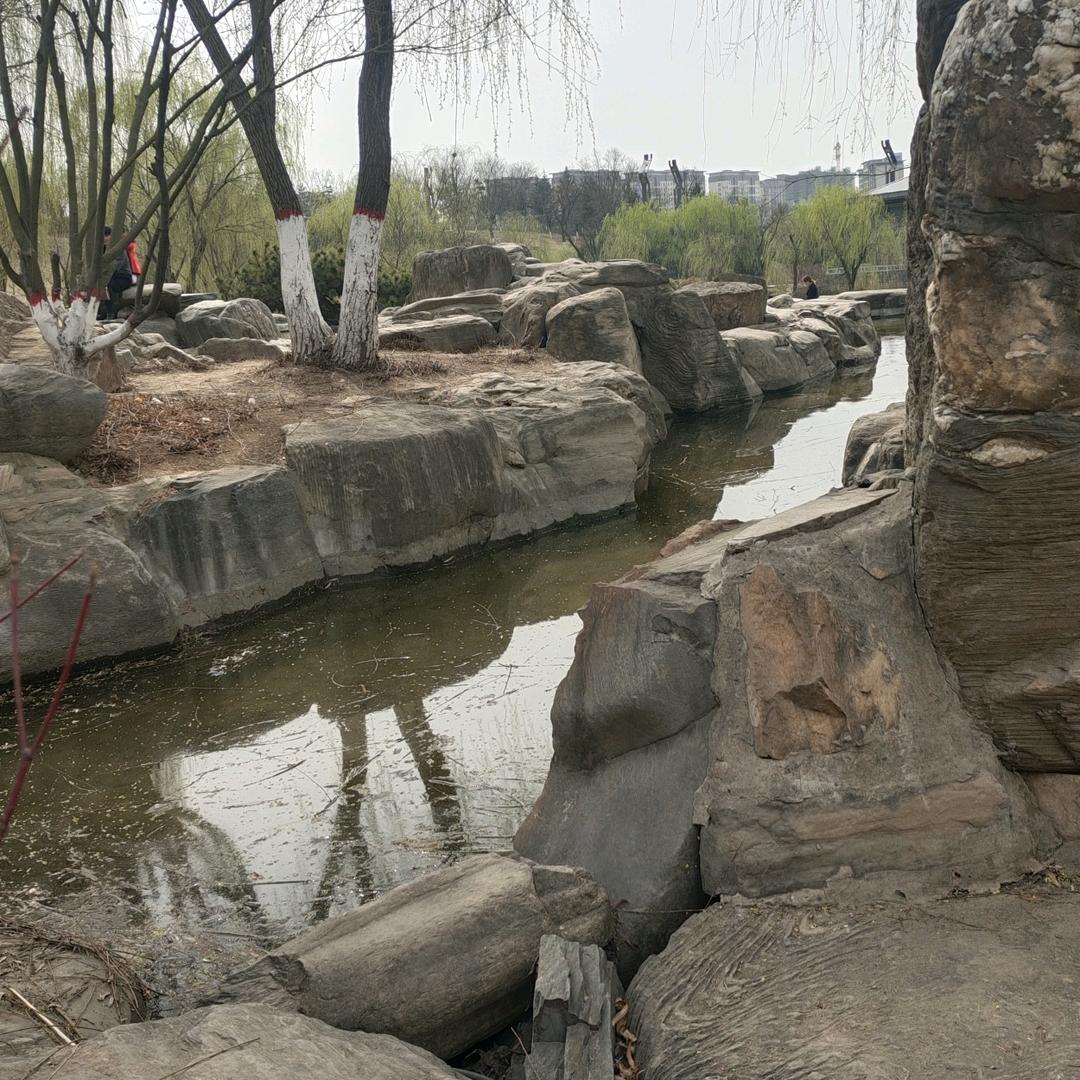刘峰