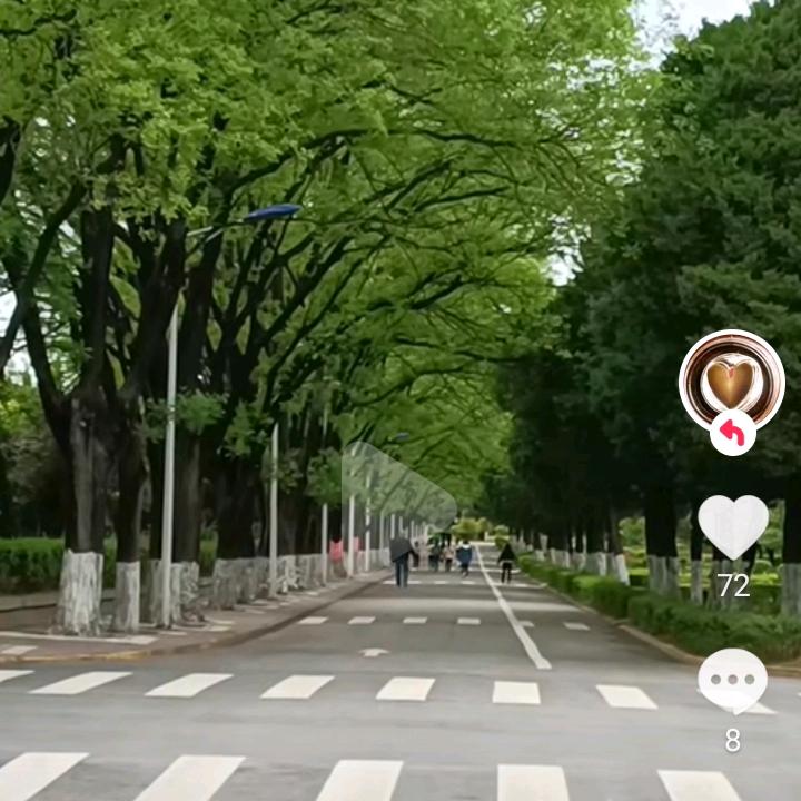 快乐的漂泊