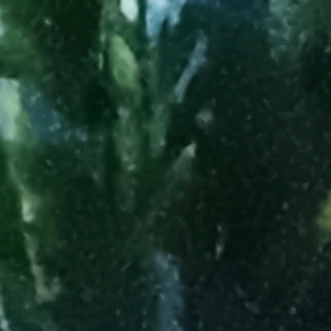 可可西里自驾遊