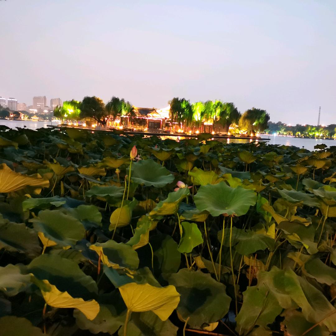 北极光