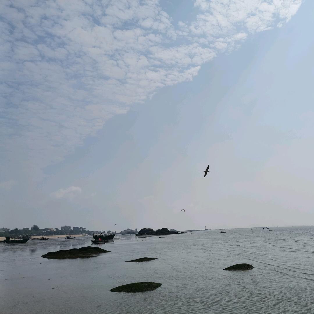 黄然大悟