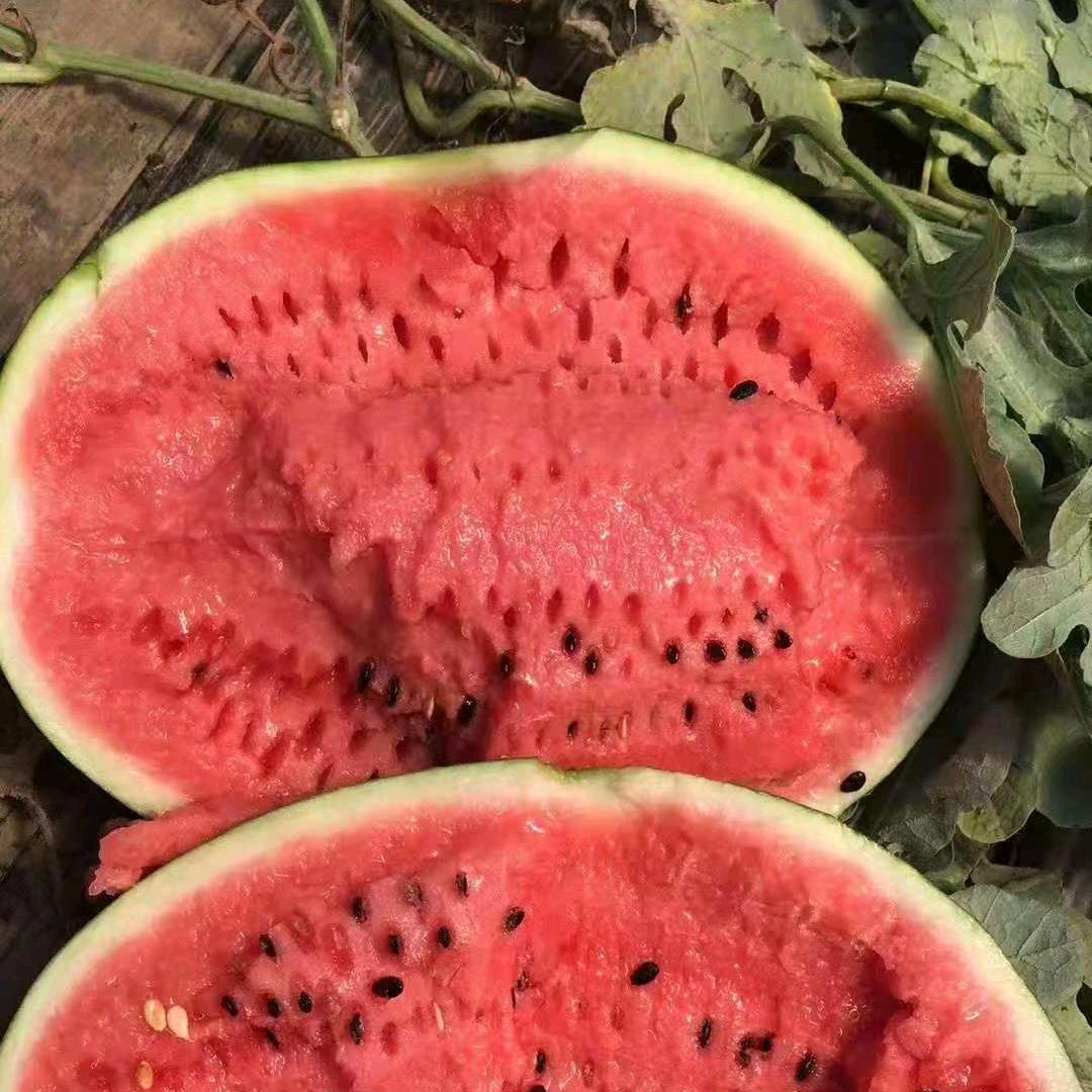 梁子代办各种水果