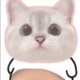 人微言轻