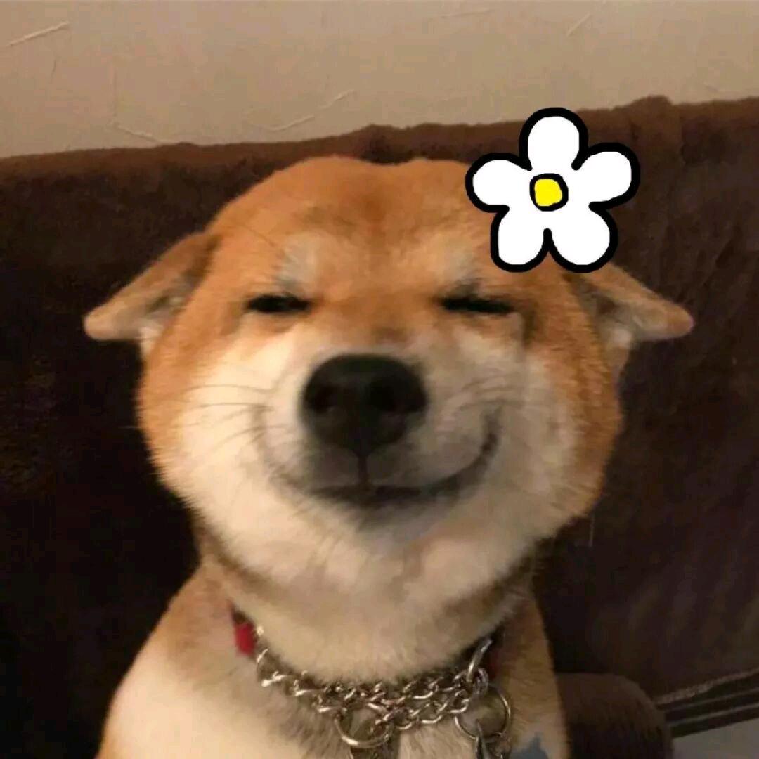 大狗