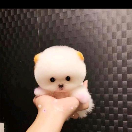 彭世修脚👍🏻👍🏻
