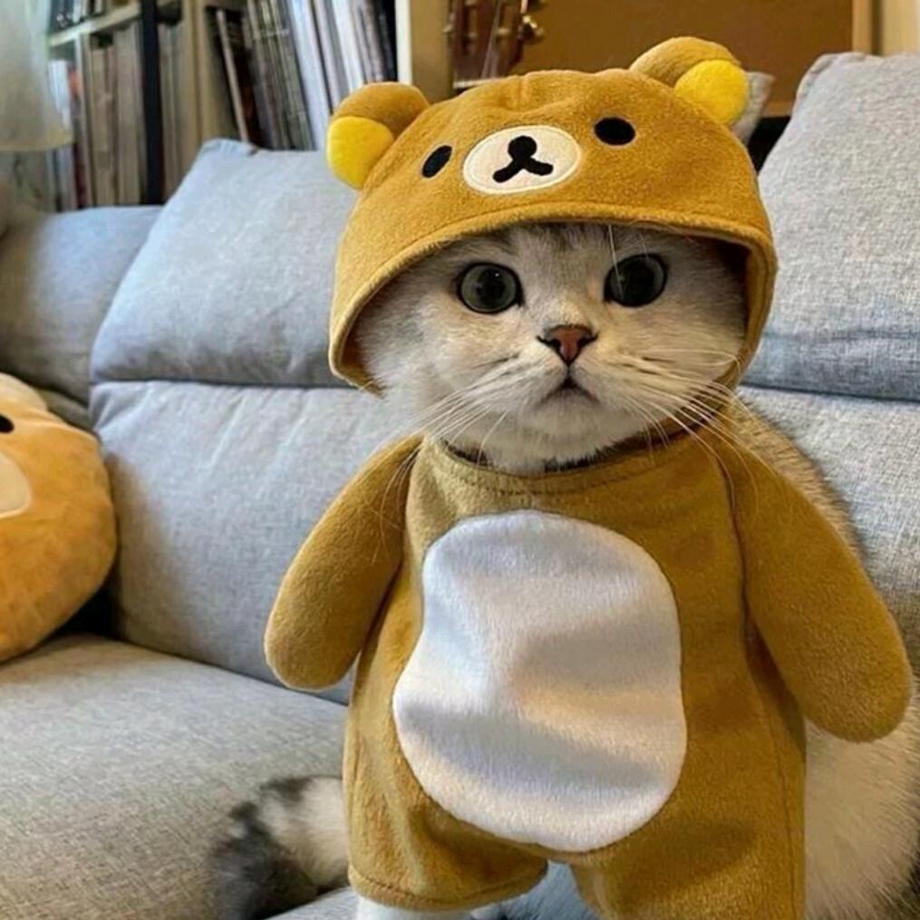 爱吃饭饭的小明同学