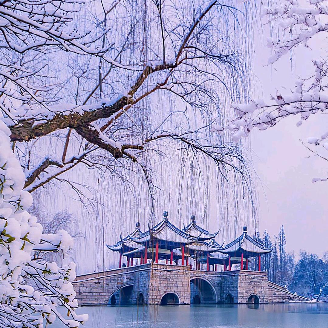 梦梦travel头像