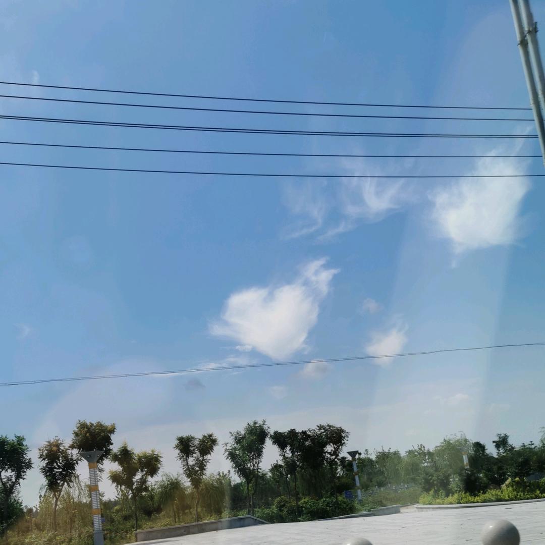 小琦宝儿