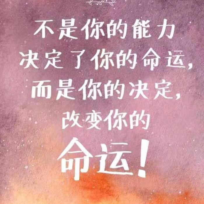 鹌鹑蛋蛋