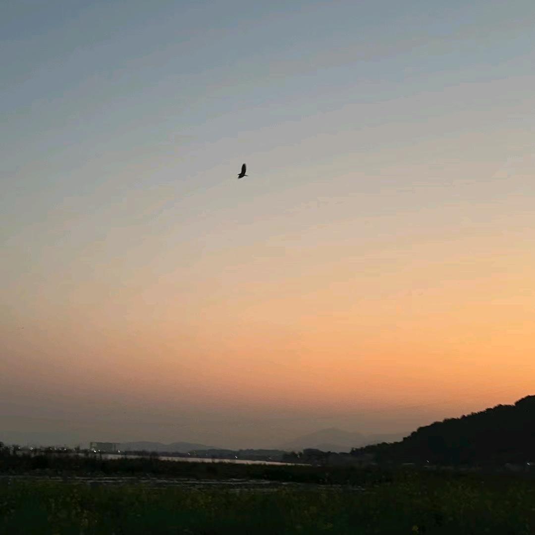 没关系
