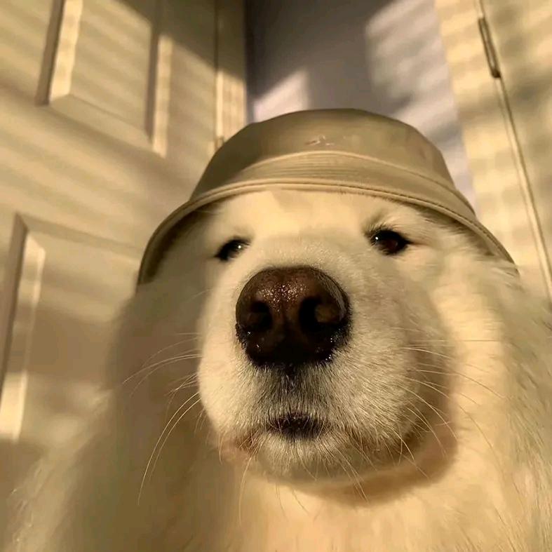 沾化四方驾校孙教练