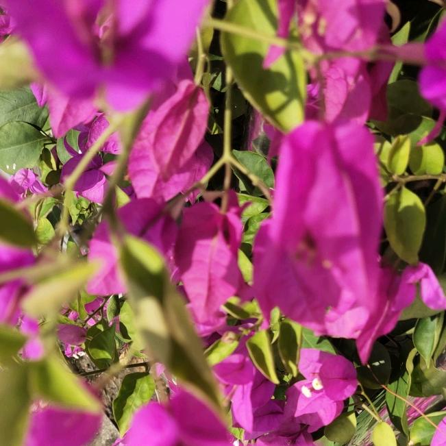 注定只是一首歌