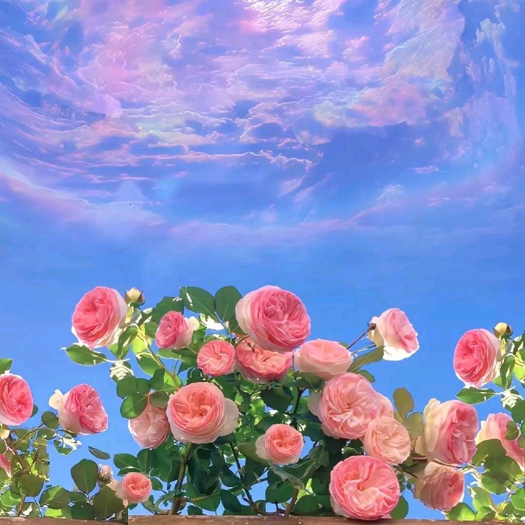 一生所爱