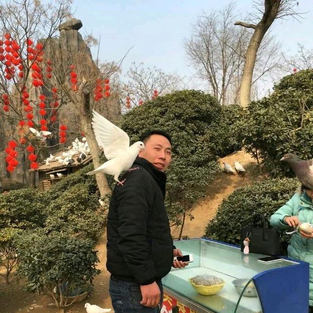 昌盛建材岩哥