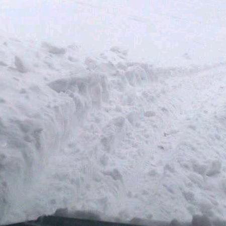 手机用户59505598042笑看人生