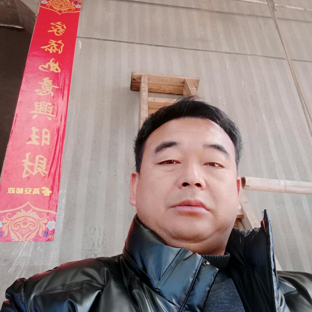 不要再来伤害我