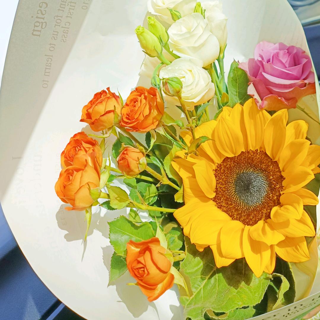 🌻暖若安阳🌻