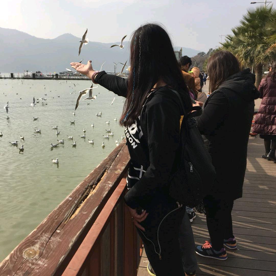 我的世界我做主