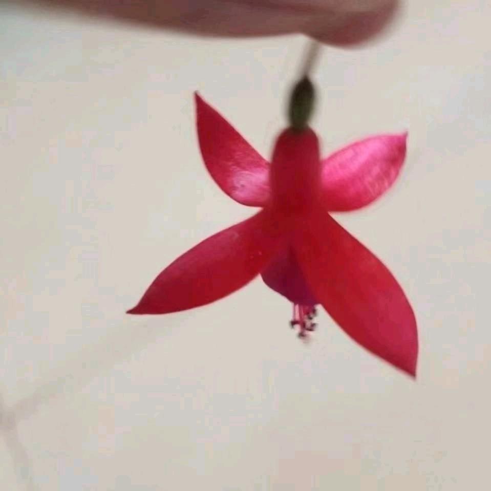 太原红泰阳胶粘五金材料