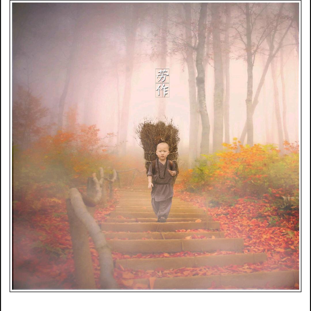 轻晨，惜墨宇
