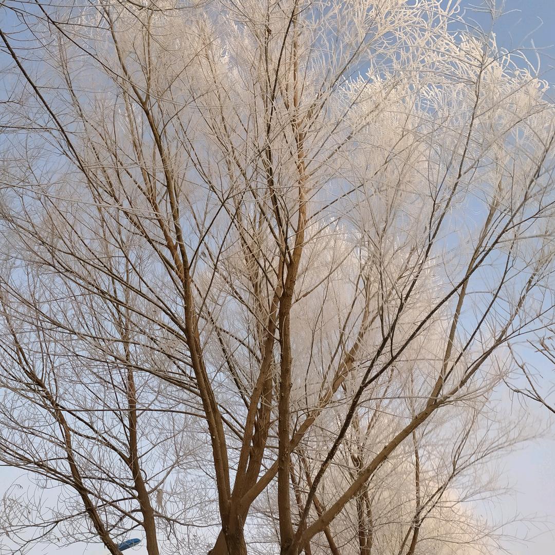 七百=高中化学老师