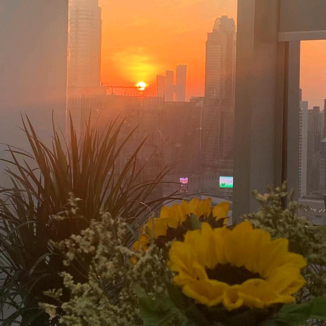 ☀️《往后余生》《🍃好好爱自己🍒》