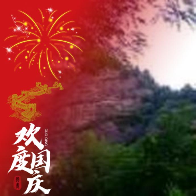 赵小武