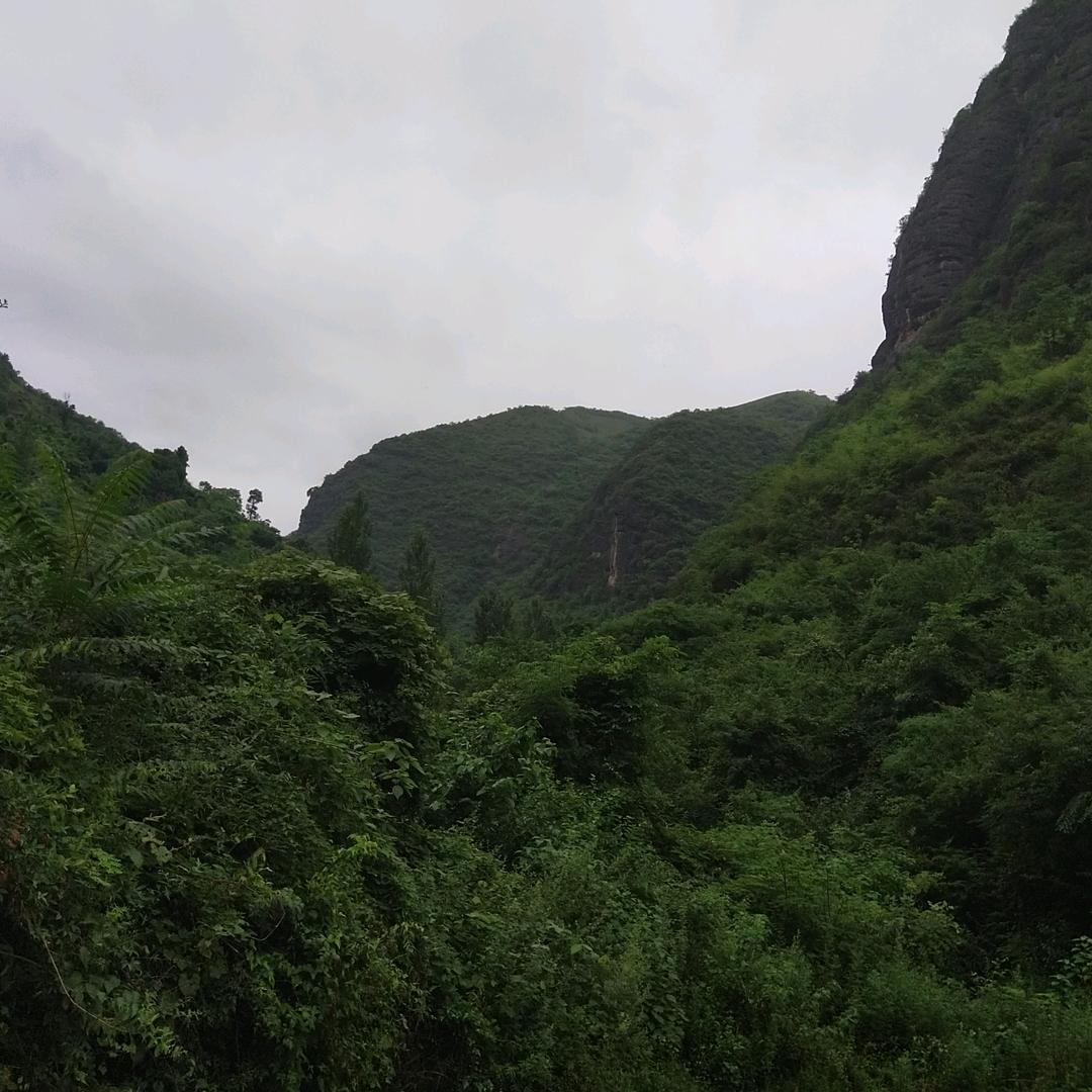 用户5332977669062高山流水