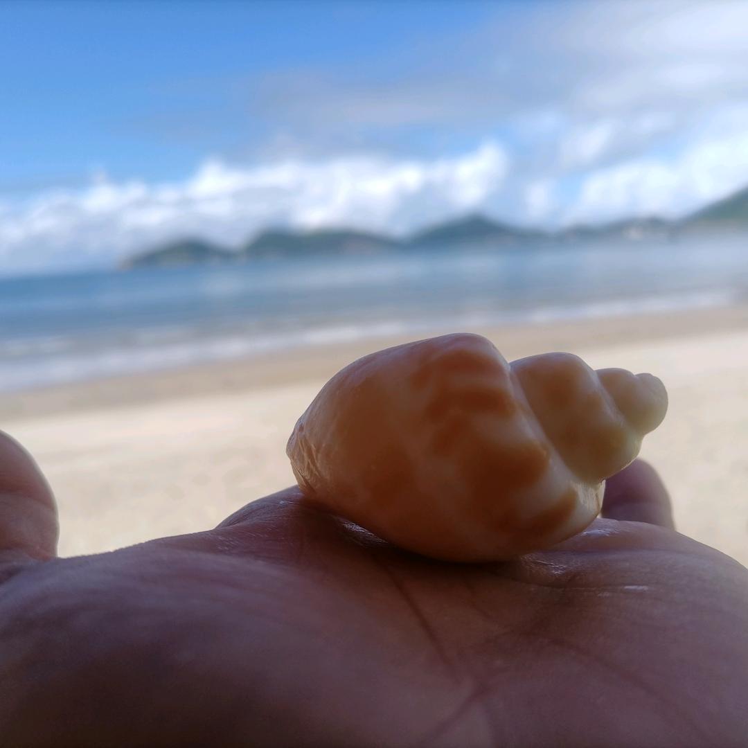 别调戏我小心我非礼你