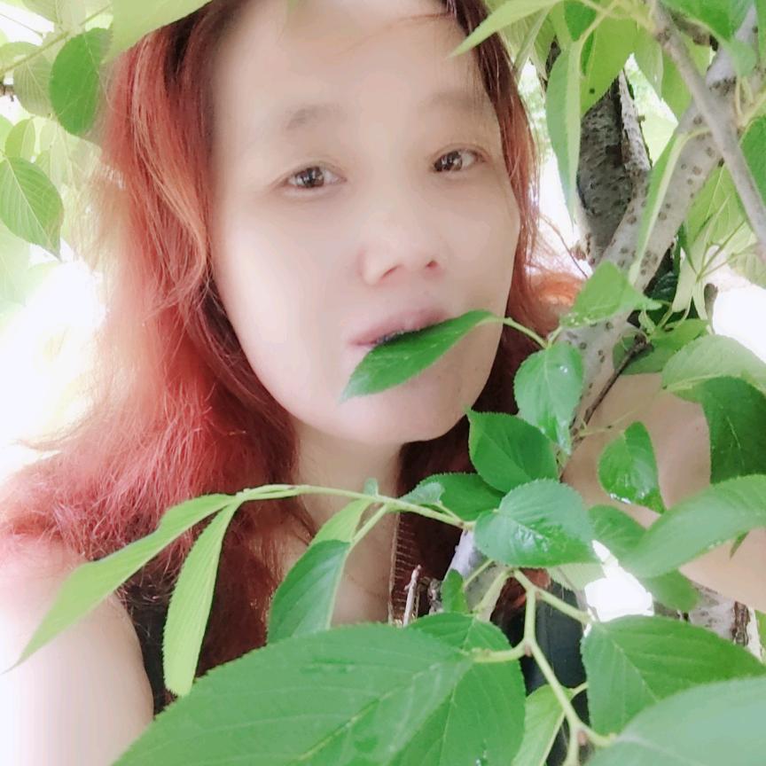 半身已过，学会沉默