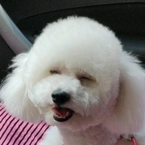 佩琪烤苏西